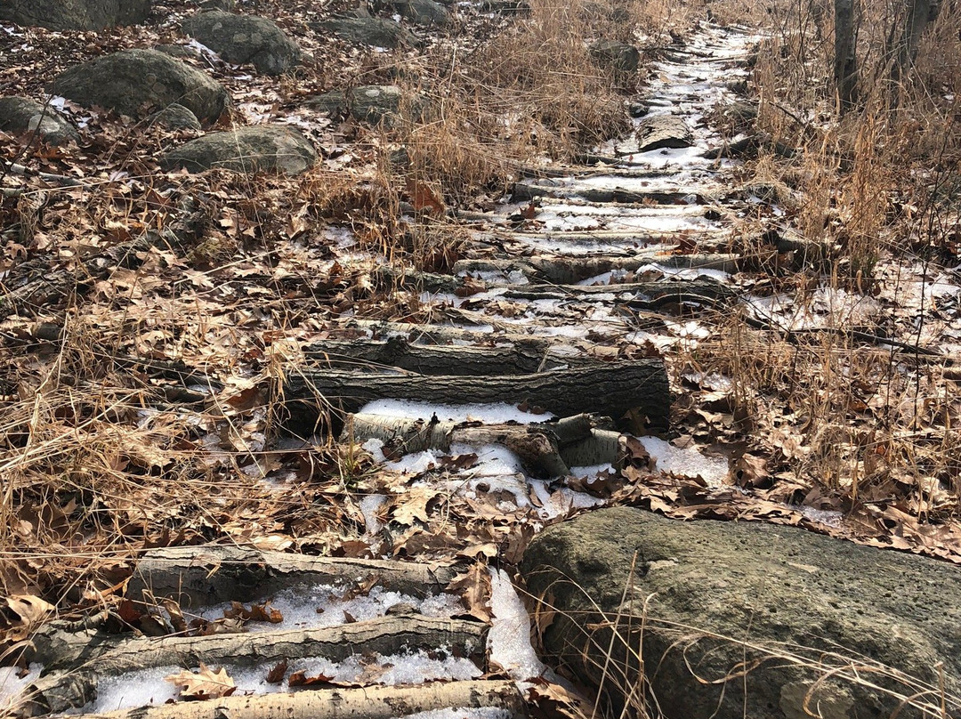 Bear Mountain Reservation-丹伯里必去景点