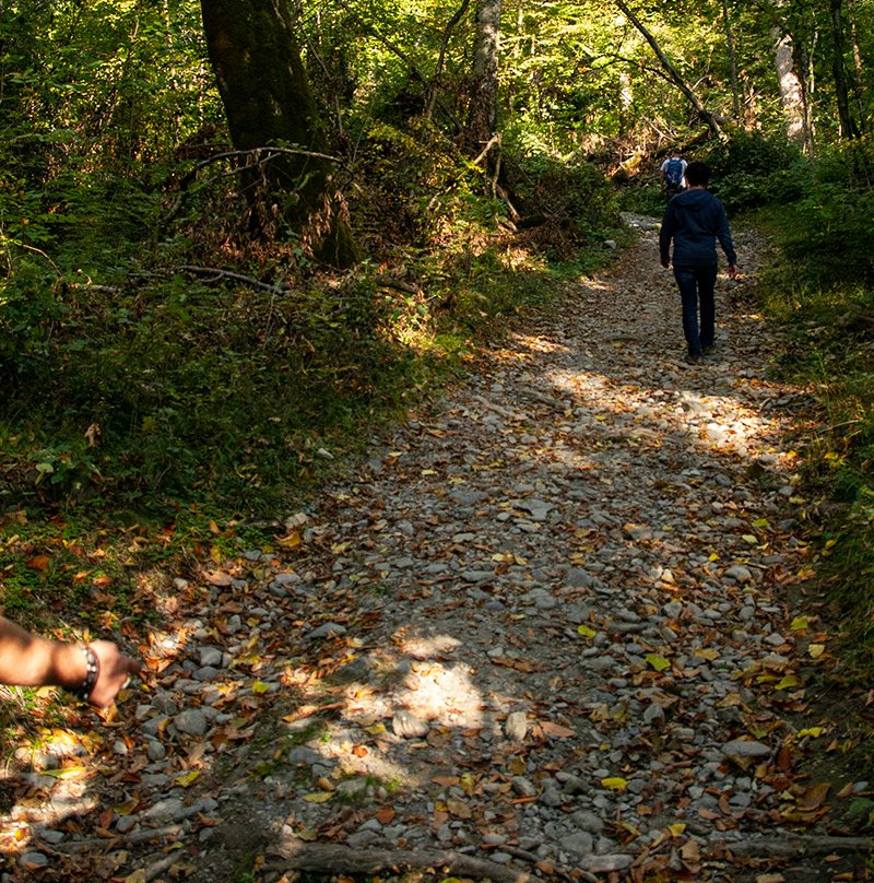 Lagodekhi National Reserve-Lagodekhi必去景点