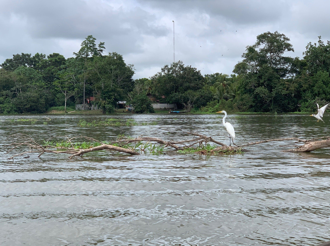 Laguna Yarinacocha-Pucallpa必去景点