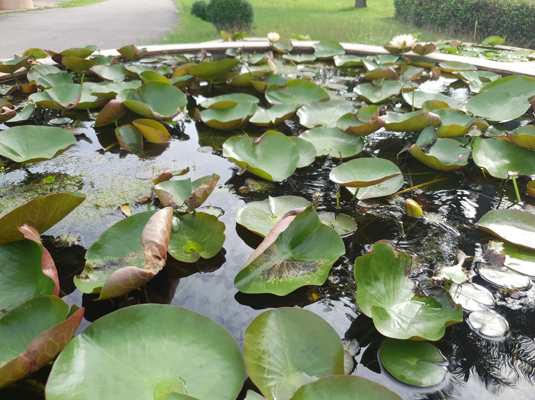 Chaloem Phra Kiat Public Park景点图片