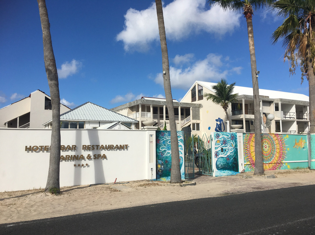 The Wall of Art-Marigot必去景点