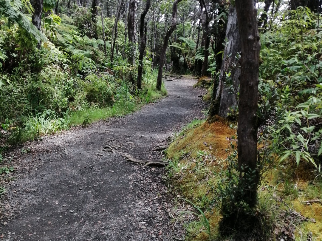 基拉韦厄火山山道景点图片