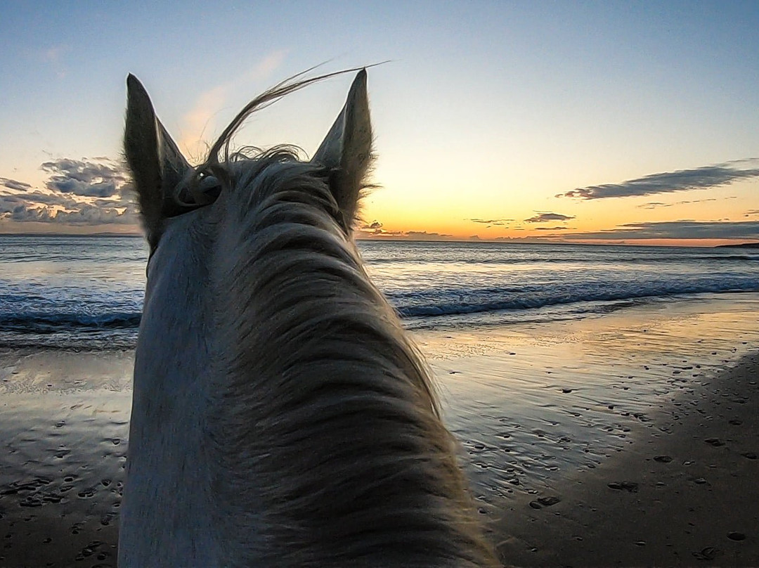 Aventura Ecuestre-塔里法必去景点