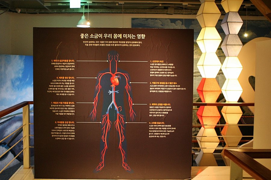 Salt Museum景点图片