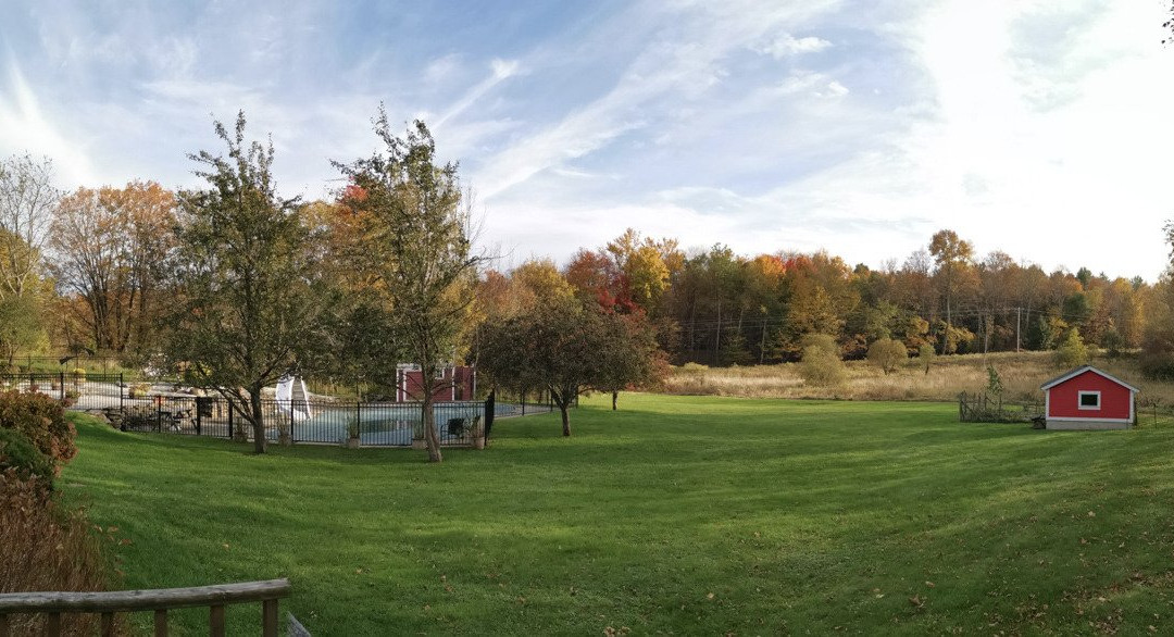 Inn At Buck Hollow Farm主图