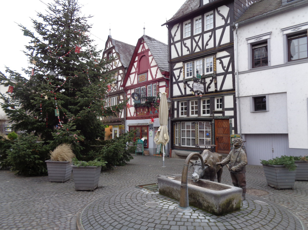 Marktplatz mit Ochsenbrunnen景点图片