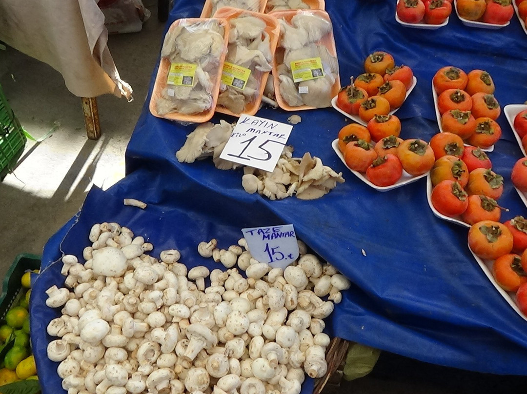 Mumcu Indoor Marketplace-蒙朱拉尔必去景点