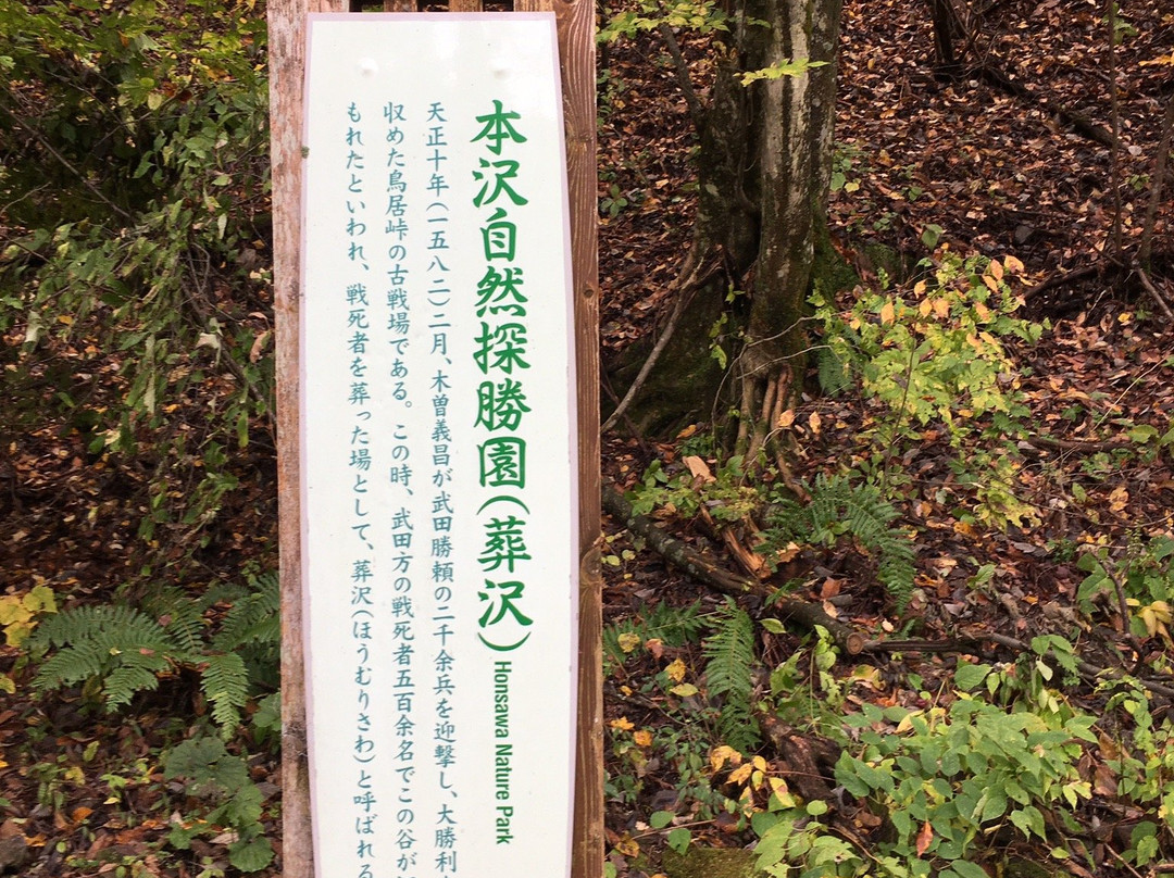 Torii Pass-盐尻市必去景点