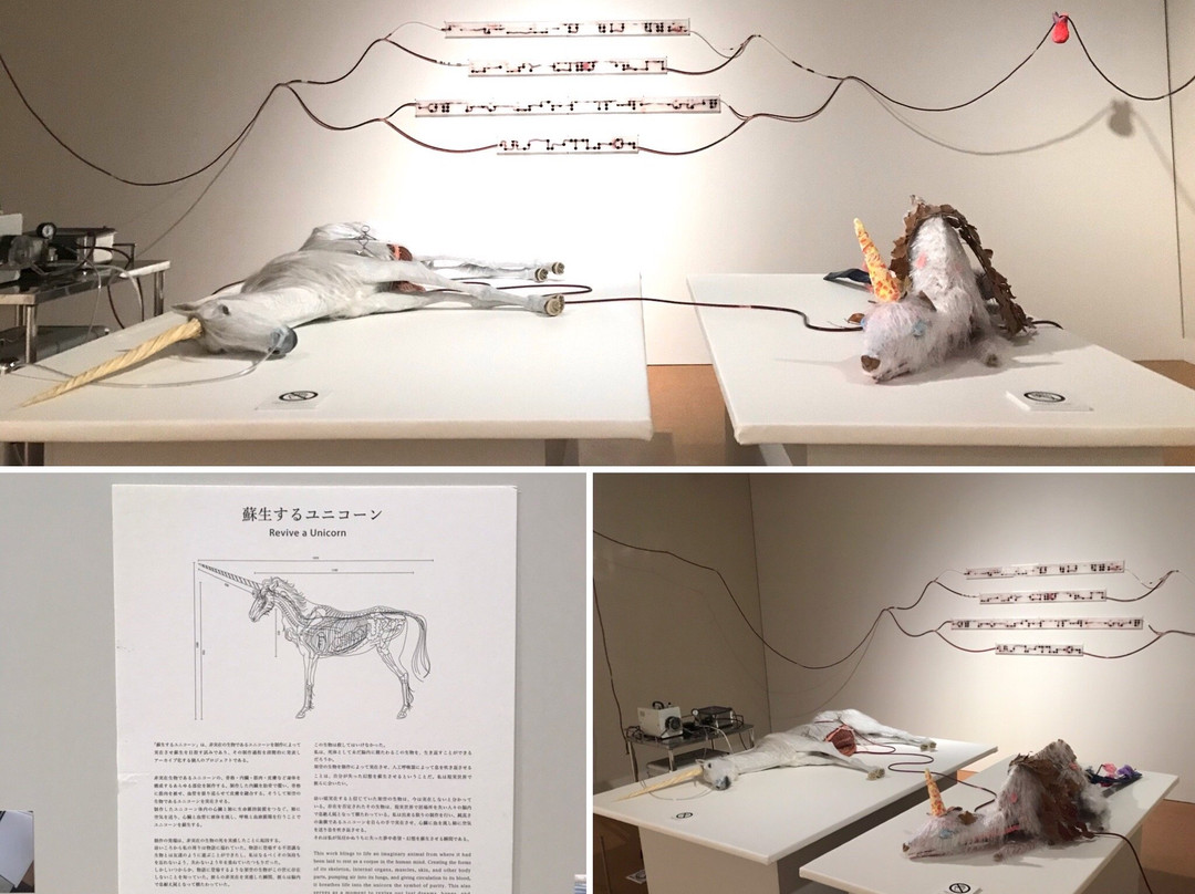 Gifu Museum of Fine Arts-岐阜市必去景点