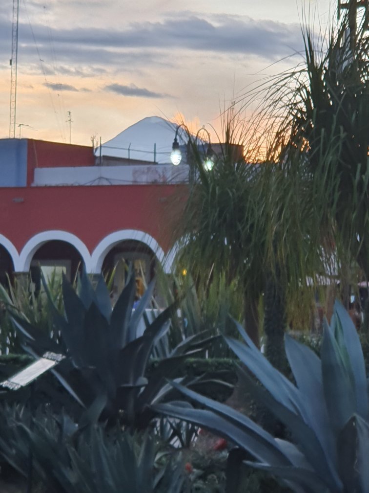 Hotel Casa Calli-官方