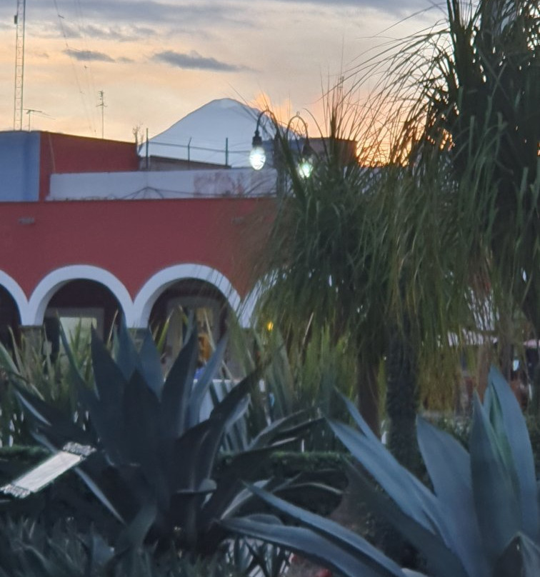 Hotel Casa Calli主图