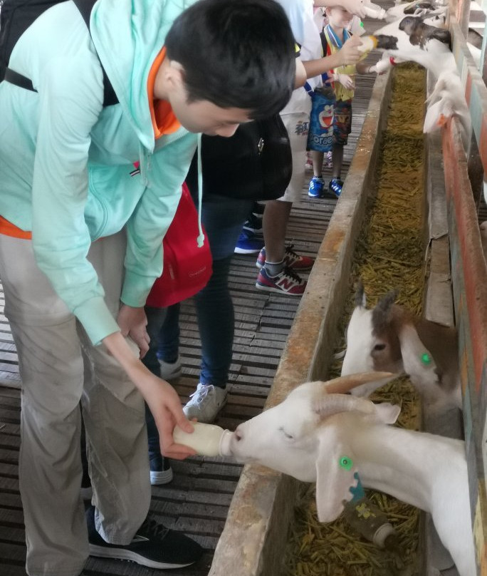 BSL Ecofarm-Ayer Hitam必去景点