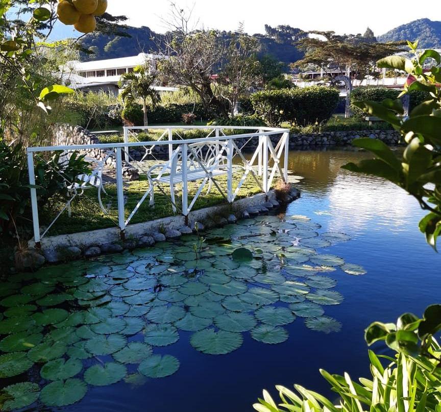 El Oasis Hotel & Restaurant主图