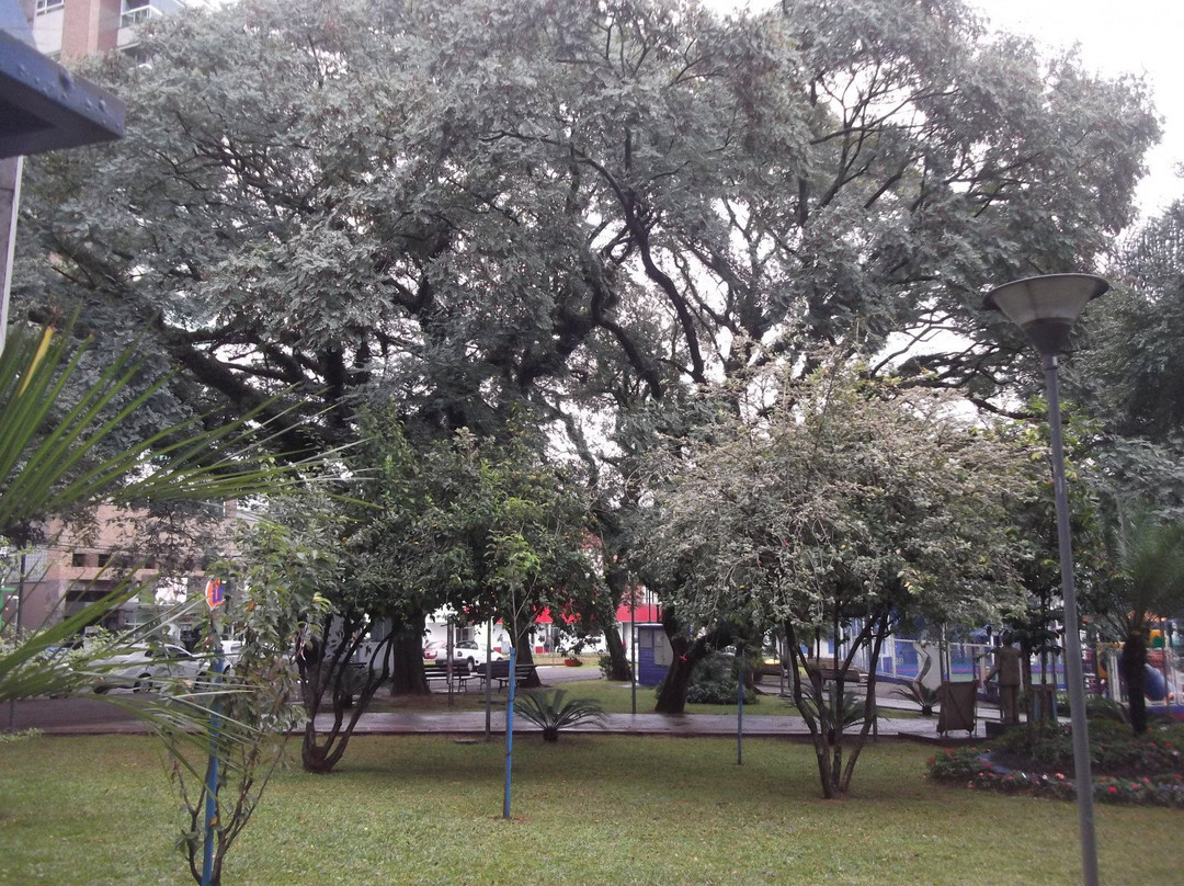 Praca da Matriz景点图片