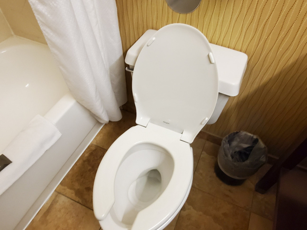 Comfort Inn & Suites主图