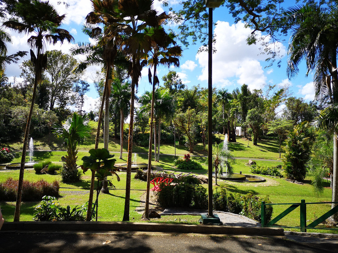 Jardin Botanico景点图片