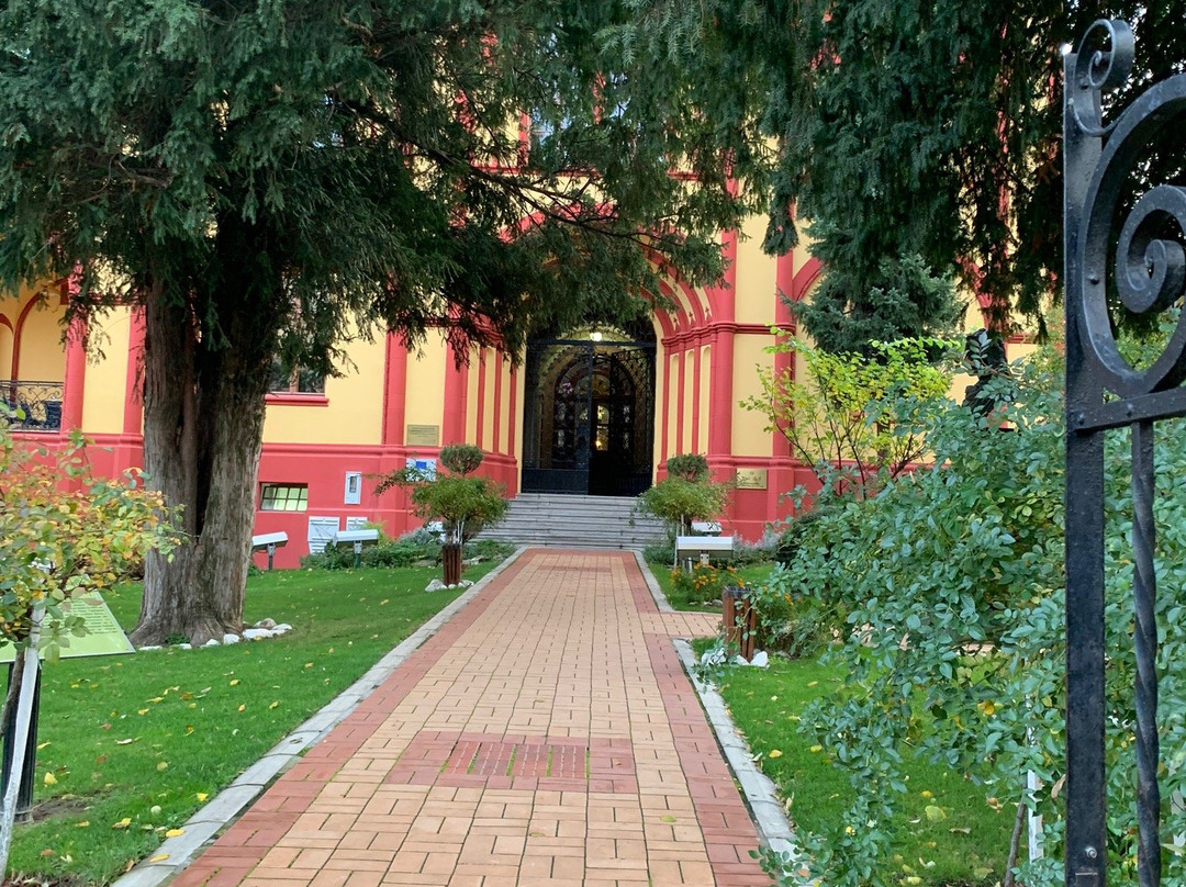 The Grammar School (Gymanzium)景点图片