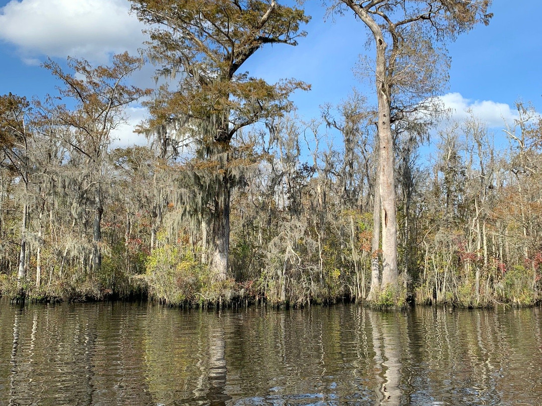 Waccamaw River Tours-美特尔海滩必去景点