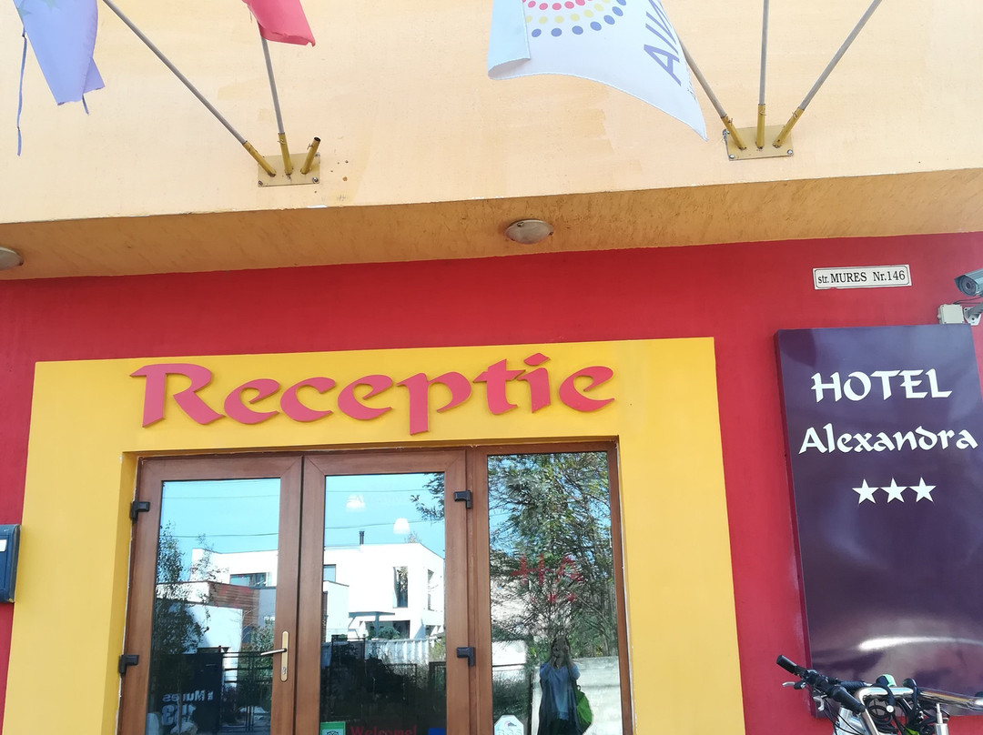 Hotel Alexandra主图