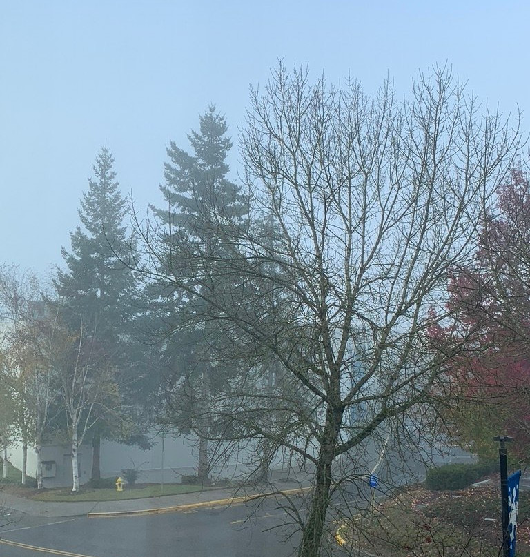 Hampton Inn & Suites Seattle/Federal Way主图