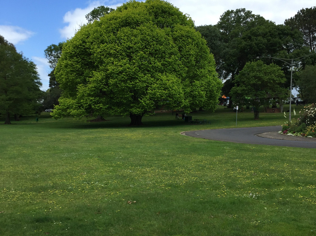 Civic Park-沃拉格尔必去景点