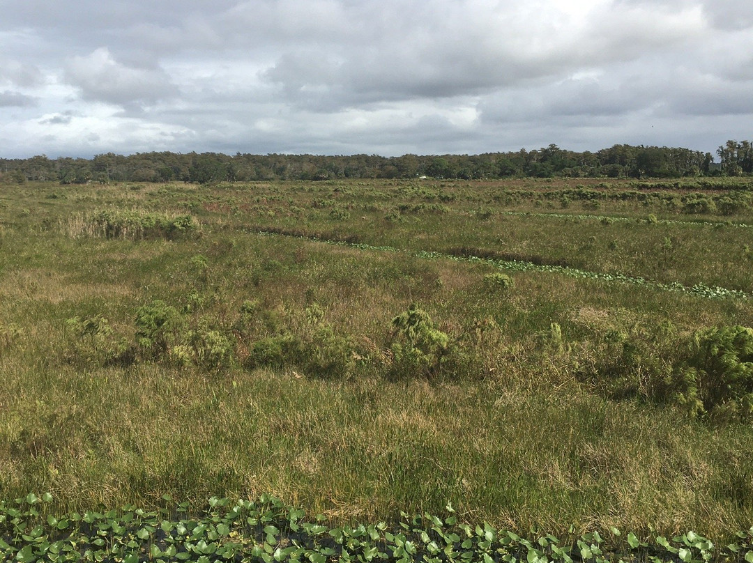 Arthur R. Marshall Loxahatchee National Wildlife Refuge景点图片