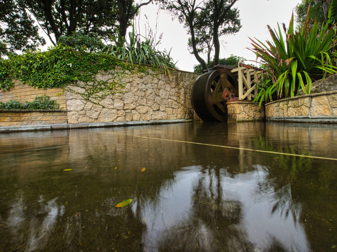 Sunken Gardens景点图片