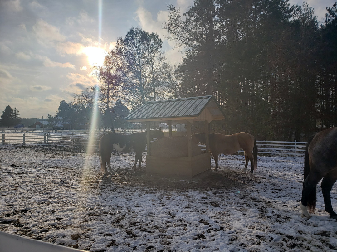 Outback Lodge and Stables主图