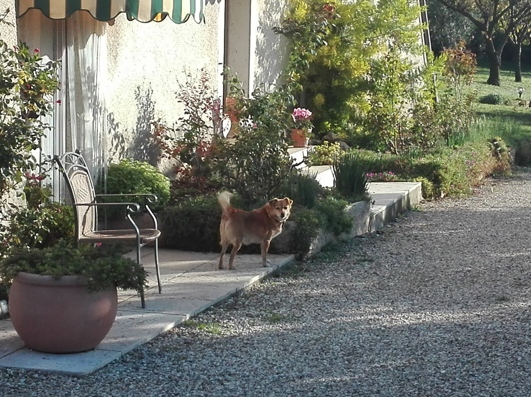 Agriturismo Corte Dei Fiori主图