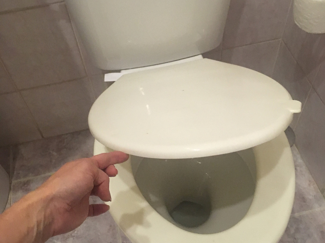 欧克提亚布瑞斯卡亚酒店主图
