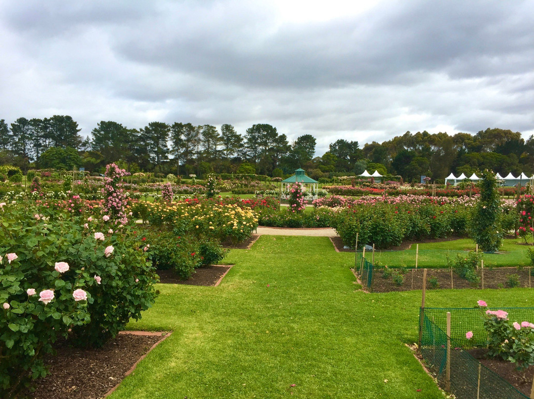 Victoria State Rose Garden-韦里比必去景点