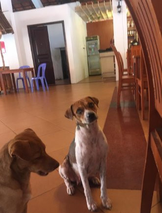 库克女士西贡绿宝石山庄酒店主图