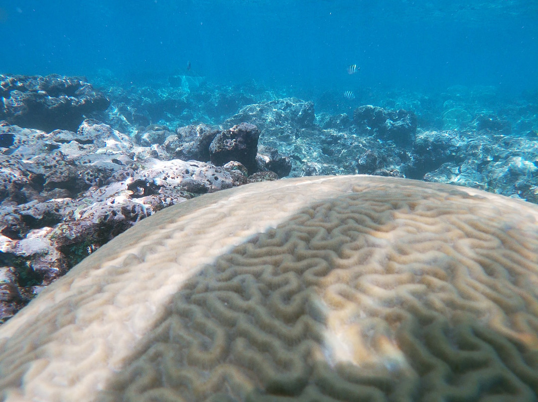 Eric Tours International-苏莎亚必去景点