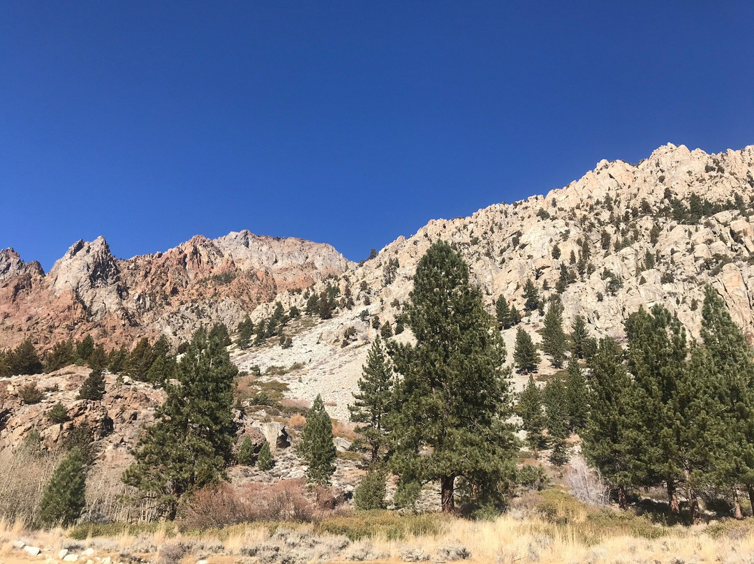 Lundy Lake-利韦宁必去景点