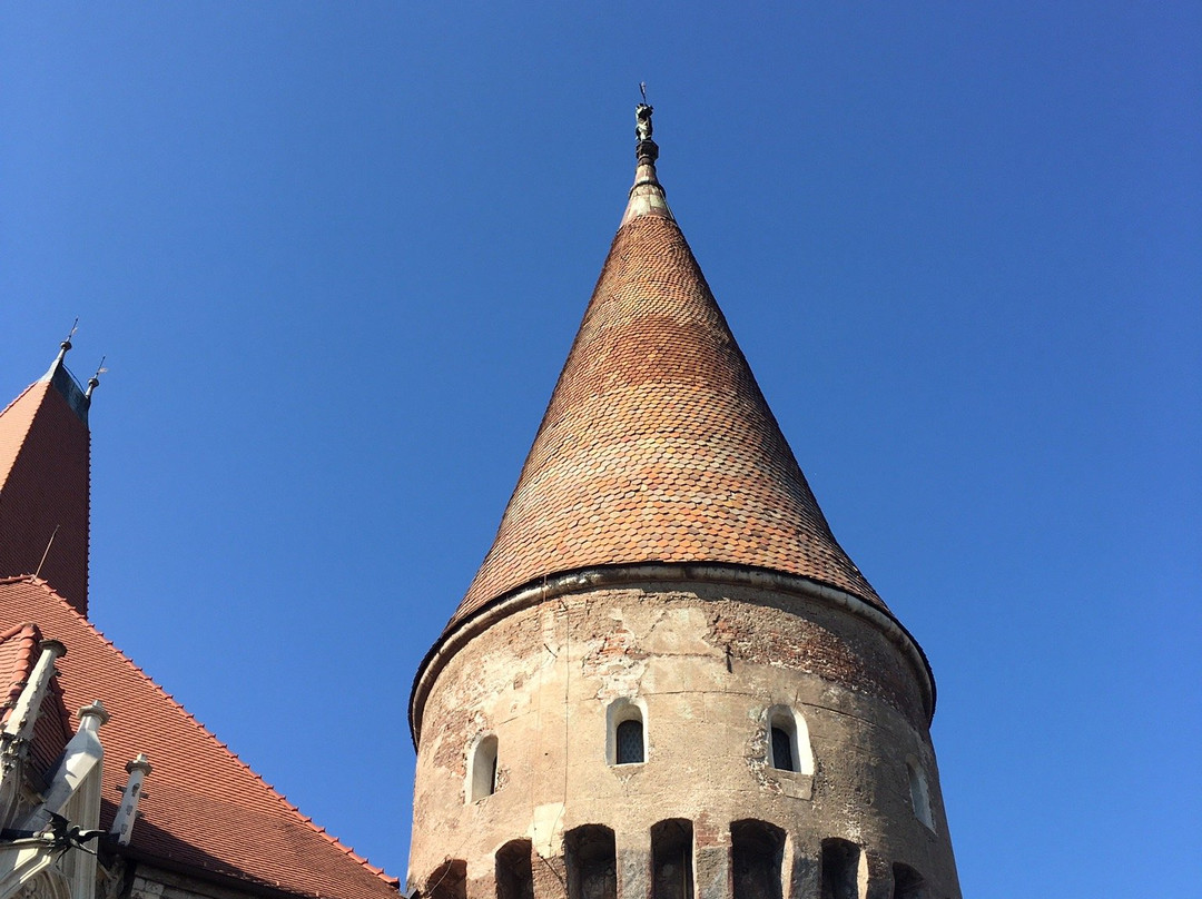 Transylvania Tour Guide-克卢日-纳波卡必去景点