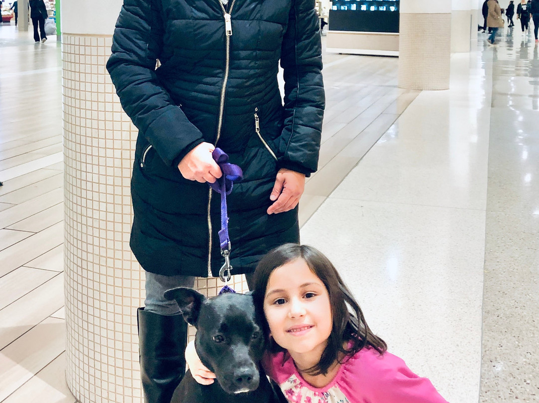 Yorktown Center-伦巴第必去景点