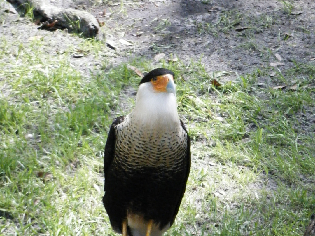 Cedar Keys National Wildlife Refuge景点图片