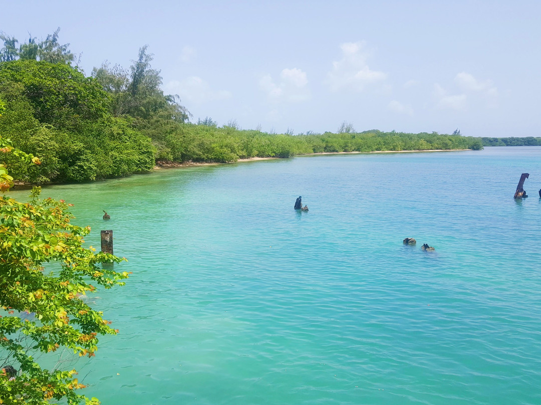 Ceiba旅游攻略图片