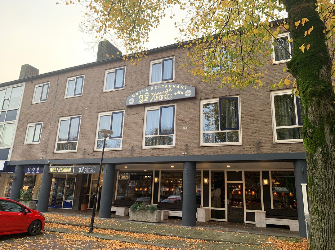Hotel Restaurant de Jonge Heertjes主图