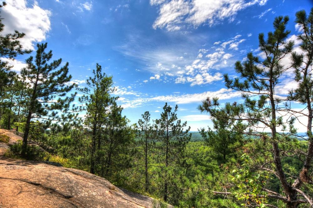 Lookout Trail景点图片