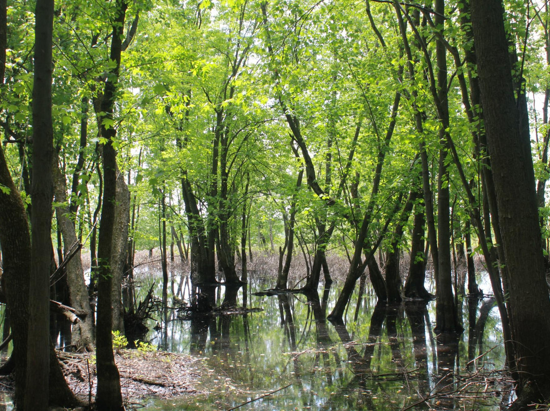 Oka旅游景点-Oka National Park
