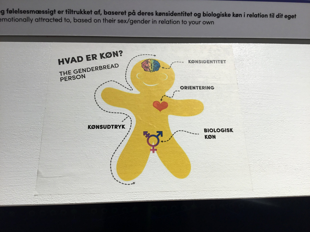 KØN - Gender Museum Denmark-欧胡斯必去景点
