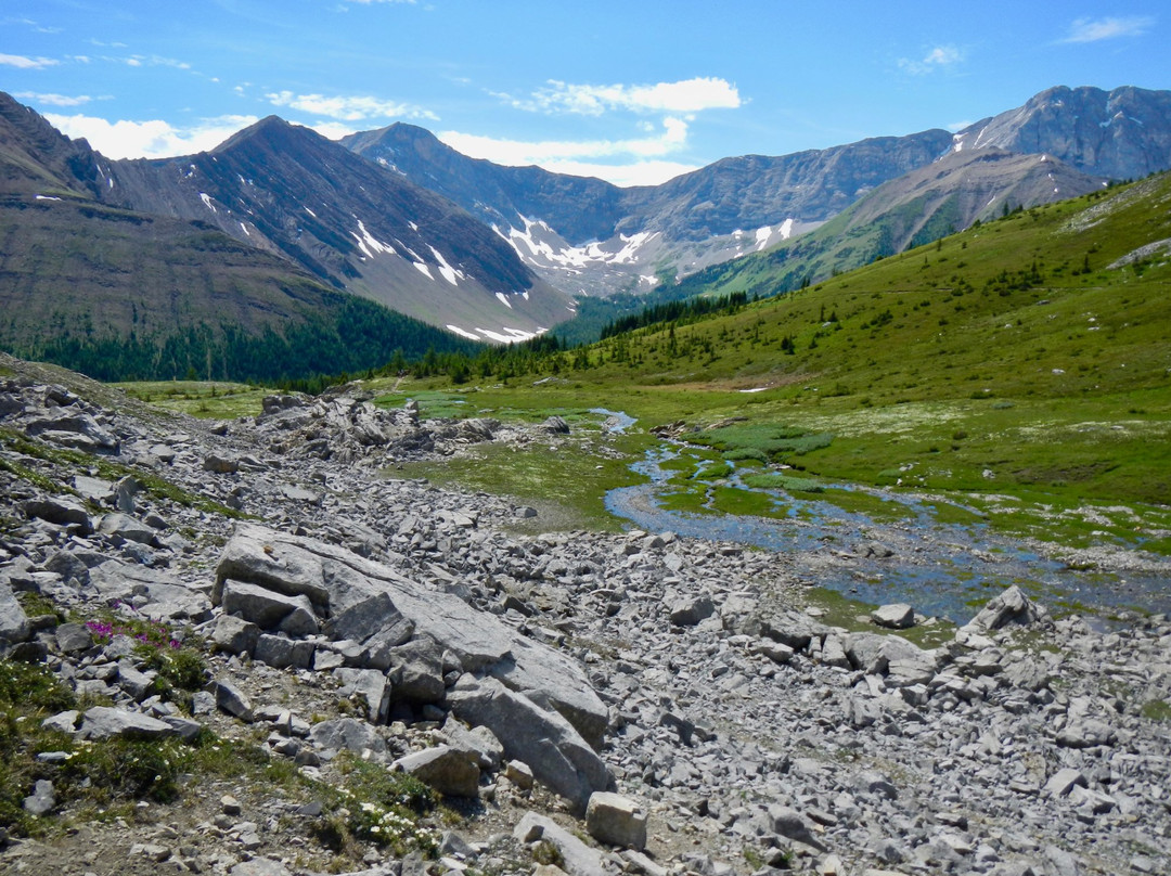 Ptarmigan Cirque Trail