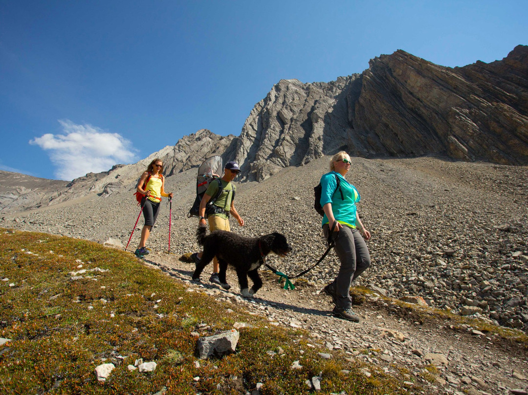 Kananaskis Outfitters-卡那那斯基斯必去景点