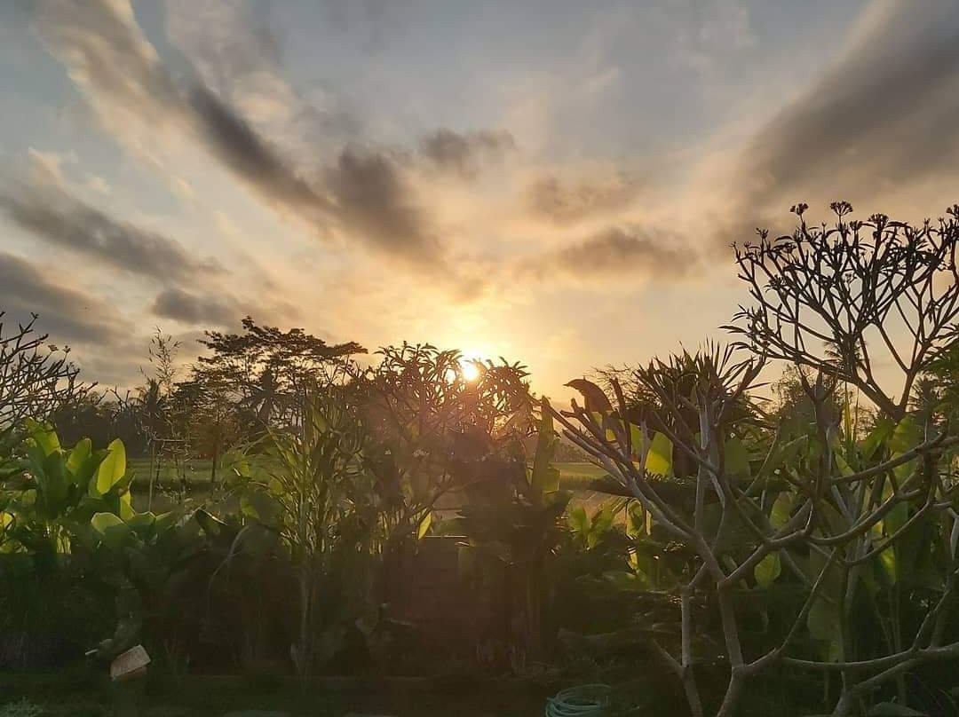 Ayuna Family Ubud主图