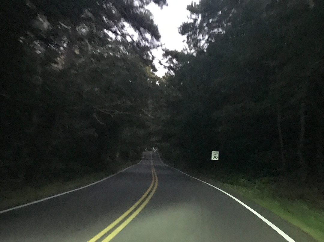 Route 6A (The Old King's Highway)景点图片