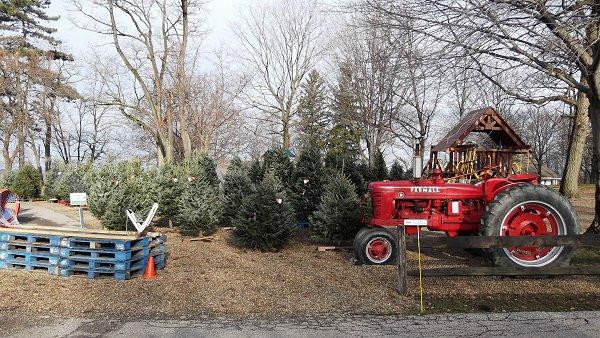 Chesterland旅游景点-Patterson Fruit Farms