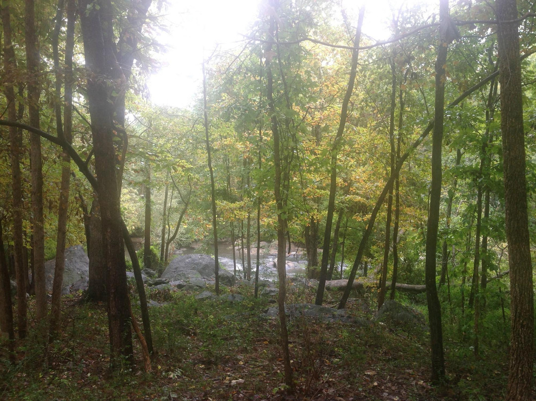 Franklinville旅游攻略图片