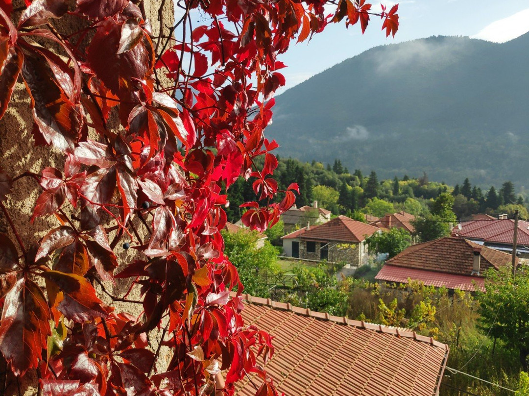 Guesthouse  Gonia主图