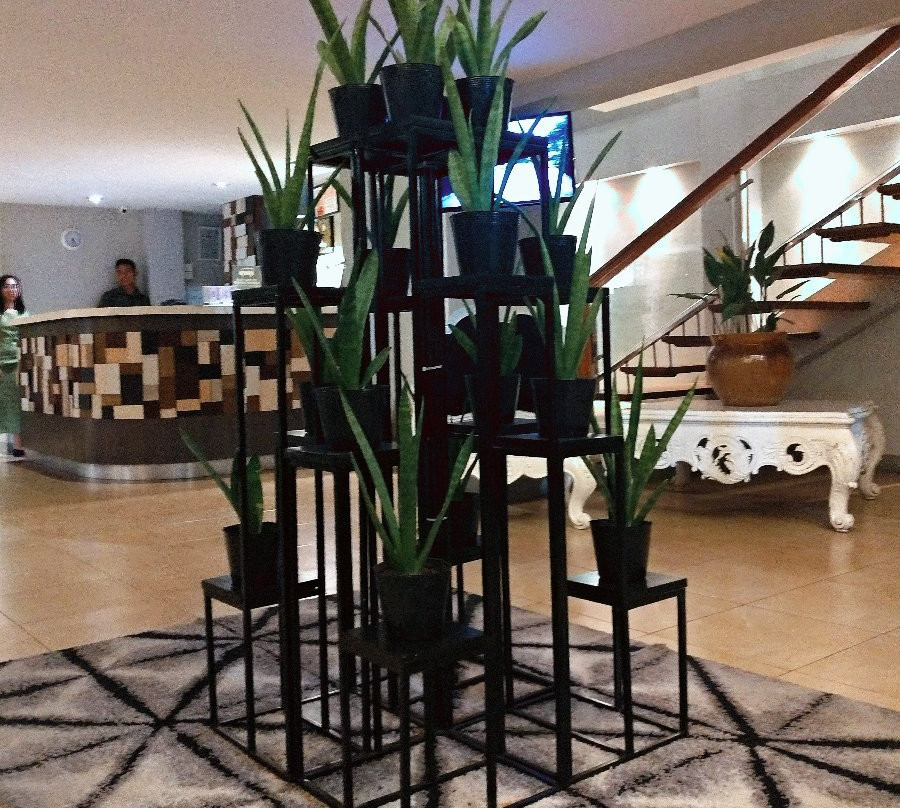 Almont City Hotel主图